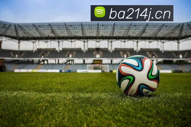 星空平台app官网入口品牌故事